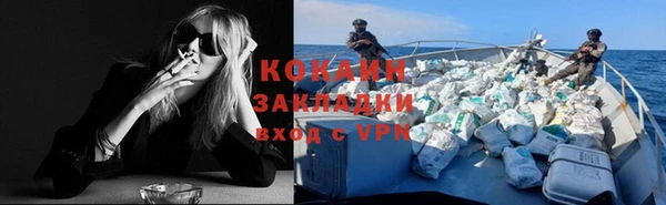 тгк Новозыбков