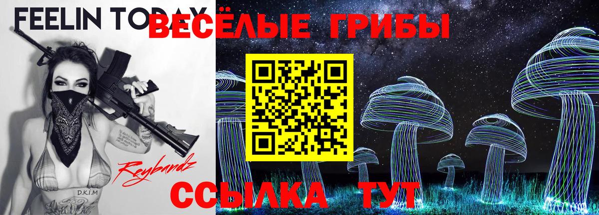 Галлюциногенные грибы Psilocybe  Псилоцибиновые грибы Magic Shrooms  Полевской  Вход с VPN 